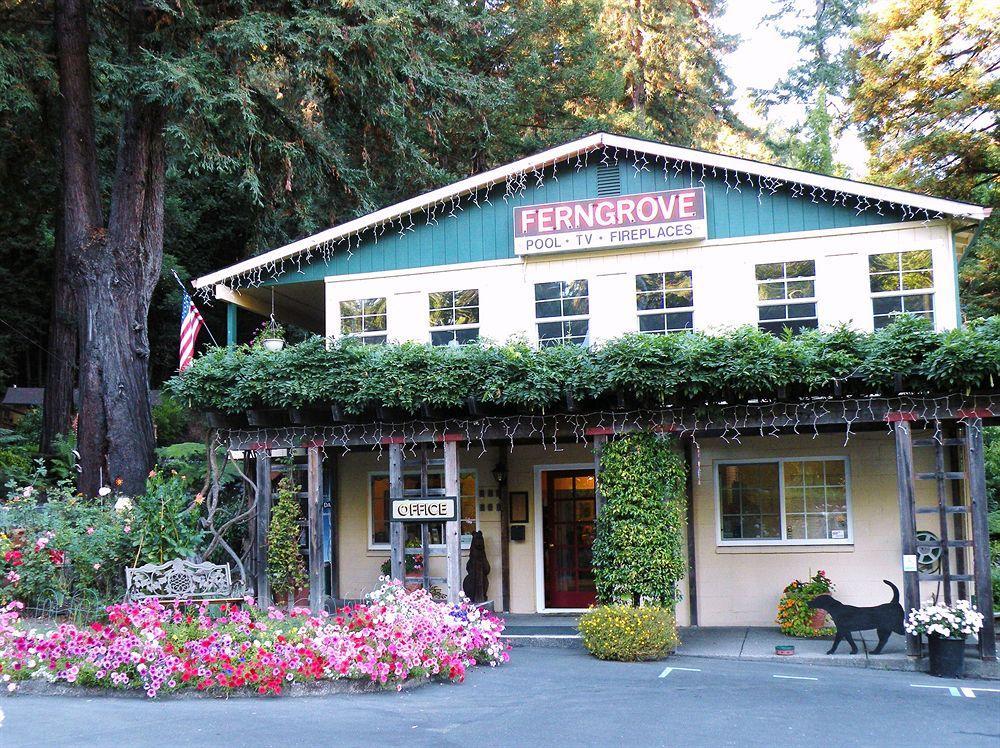 Fern Grove Cottages 盖尔南韦尔 外观 照片