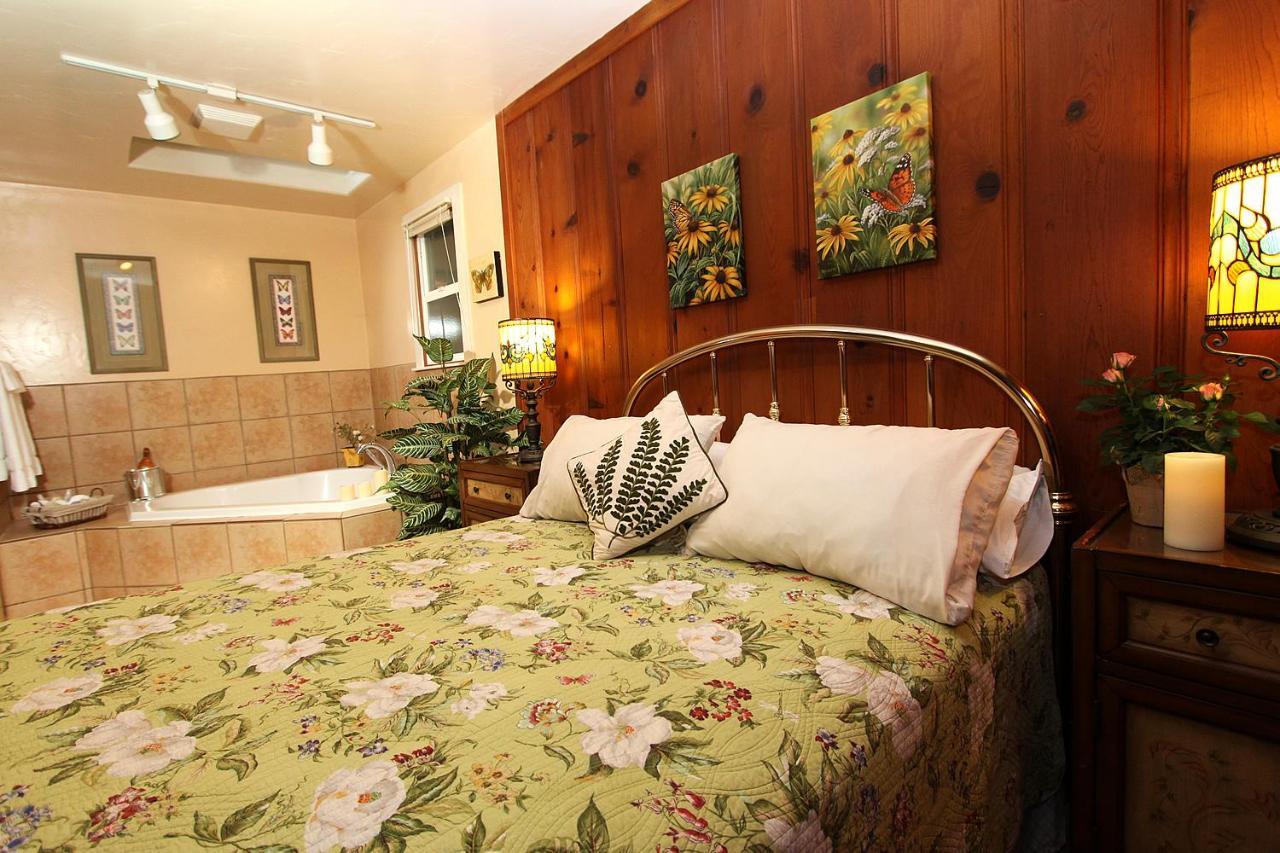 Fern Grove Cottages 盖尔南韦尔 外观 照片