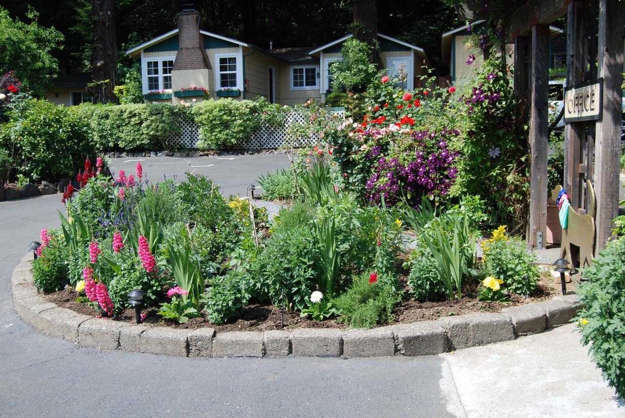 Fern Grove Cottages 盖尔南韦尔 外观 照片