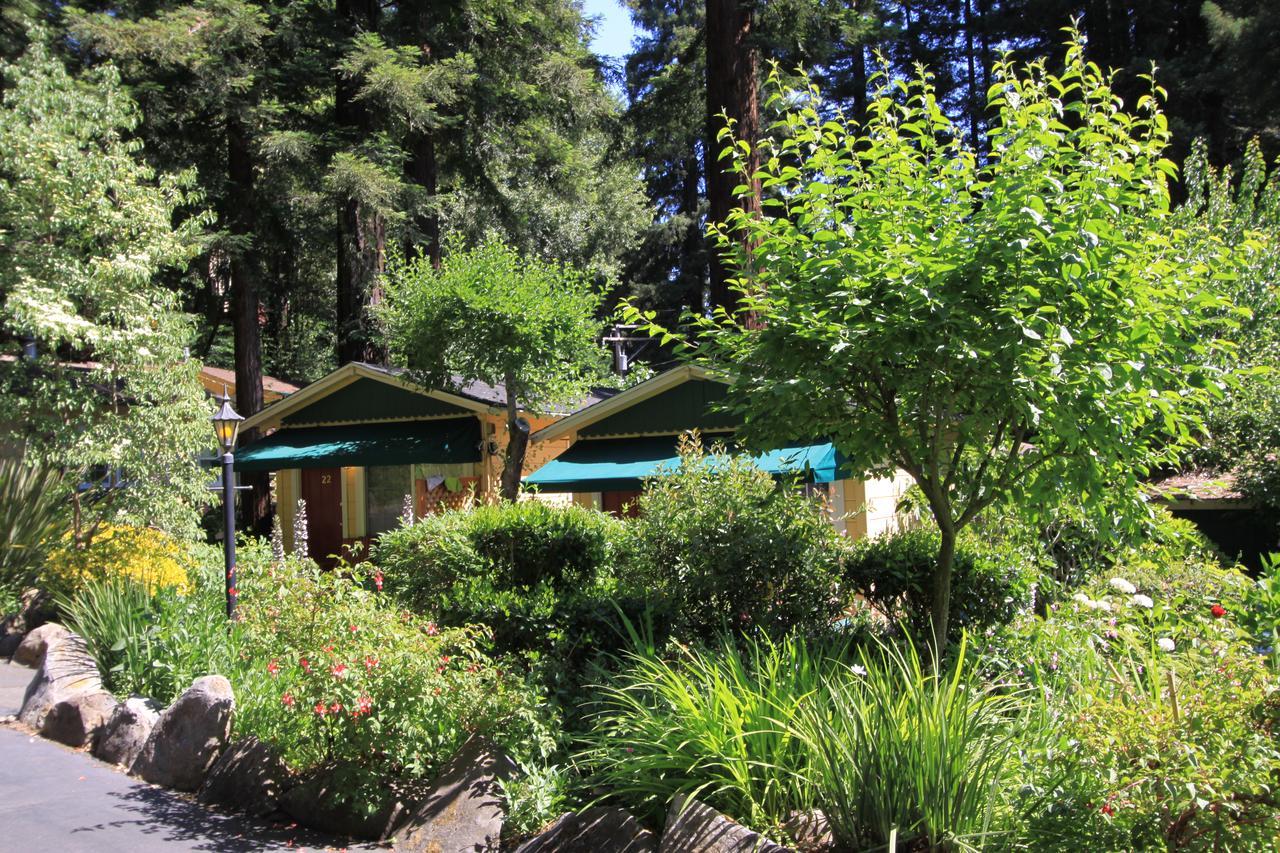 Fern Grove Cottages 盖尔南韦尔 外观 照片