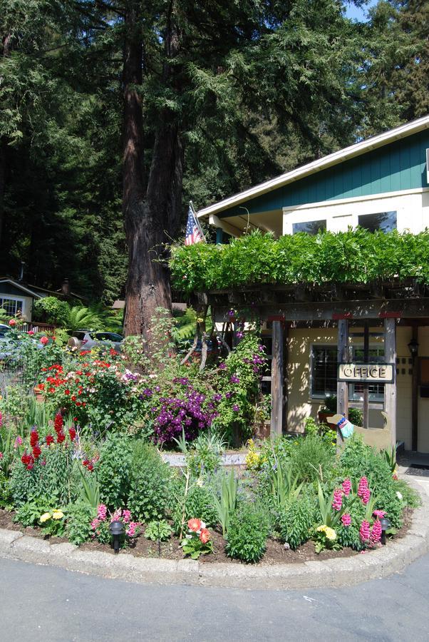 Fern Grove Cottages 盖尔南韦尔 外观 照片