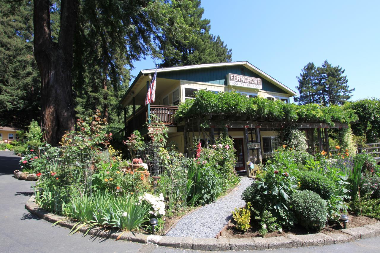 Fern Grove Cottages 盖尔南韦尔 外观 照片